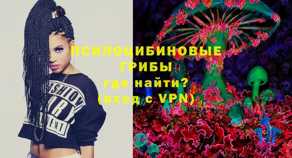 PSILOCYBIN Алзамай