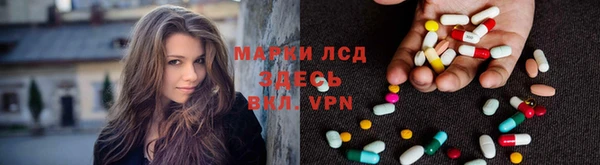PSILOCYBIN Алзамай