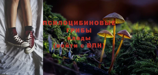 apvp Алексин