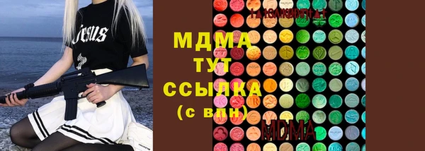 PSILOCYBIN Алзамай