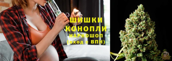 PSILOCYBIN Алзамай