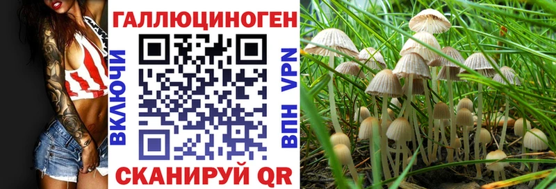 где купить наркоту  Долинск  Псилоцибиновые грибы прущие грибы 